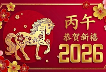 丙午年春节小记
