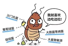 灭蟑螂记