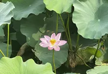 周末小聚 - 国家植物园
